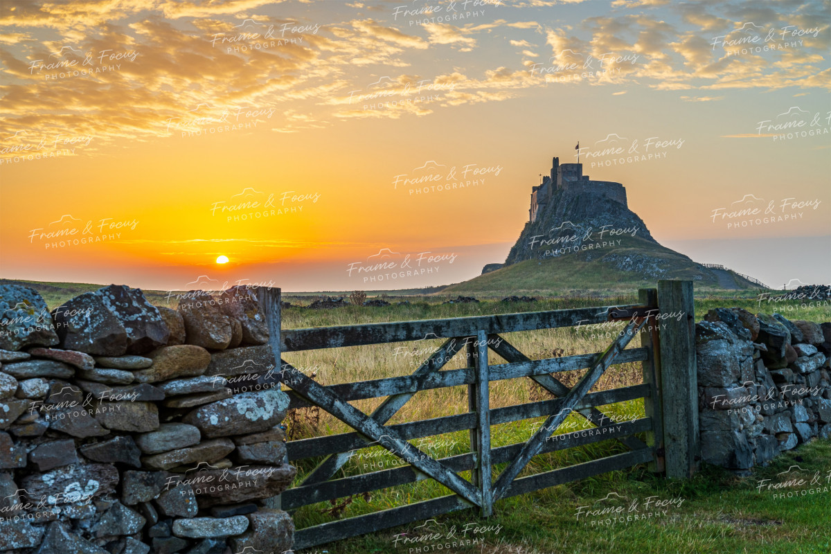 To buy a print or any of the below please click on the images